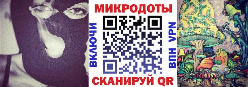 Псилоцибиновые грибы Psilocybe  Бородино 